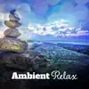 Ambient Relax: Therapy Music for Massage, Nature Sounds, Silence, Serene Zen, Meditation & Sleep album lyrics, reviews, download