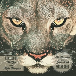 The Bestseller & Grove Park - Feel So Good