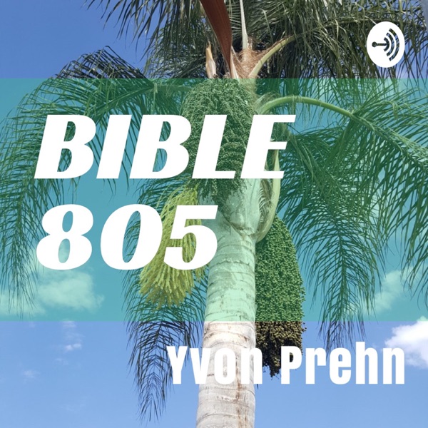Bible 805 Bible 805