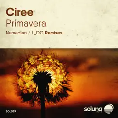 Primavera - Single by Ciree album reviews, ratings, credits