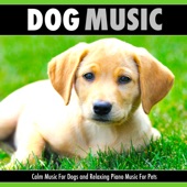 Dog Music: Calm Music For Dogs and Relaxing Piano Music For Pets artwork