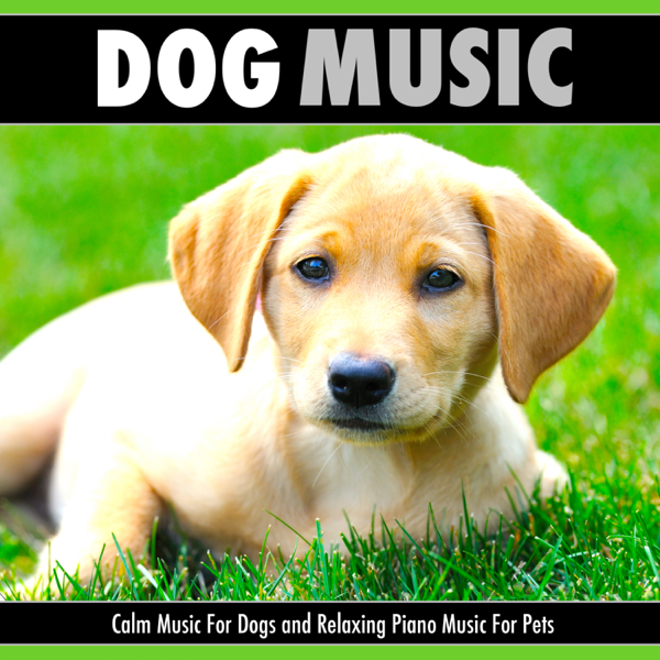 relaxing piano music for dogs