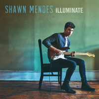 Shawn Mendes - Illuminate artwork