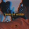 Bag of Weed (feat. iQlover & Robot) - West Gold lyrics