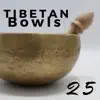 Stream & download 25 Tibetan Bowls for Relaxation