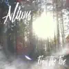 Alium