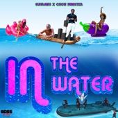 In the Water artwork