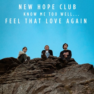 Know Me Too Well - New Hope Club & Danna Paola | Shazam