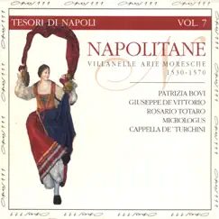 Napolitane (Villanelle, Arie, Moresche) by Patrizia Bovi, Giuseppe de Vittorio, Rosario Totaro, Micrologus & Cappela de Turchini album reviews, ratings, credits