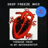 Teenage Head in My Refrigerator (2013 Edition) album lyrics, reviews, download