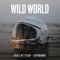 Wild World - Built By Titan & Skybourne lyrics