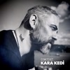 Kara Kedi - Single