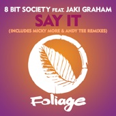 Say It (Includes Micky More & Andy Tee Remixes) - EP artwork