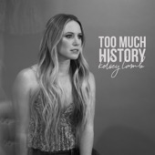 Too Much History artwork
