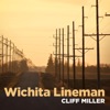 Wichita Lineman - Single