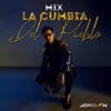 Mix la Cumbia del Pueblo: Corsario del Amor / Esta Noche / La Cumbia del Pueblo / Sin Tu Querer / Llévame / Yo Te Haré el Amor - Single