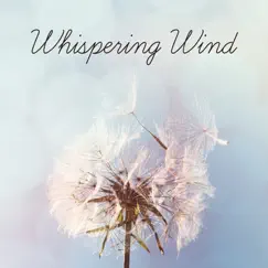 Whispering Wind: Calming Sounds of Nature and Instrumental Music for Deep Meditation, Healing Sounds for Yoga, Reiki, Soothing Songs for Trouble Sleeping by Relaxation & Meditation Academy album reviews, ratings, credits