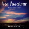Voa Vagalume (feat. Almir Sater) - Single