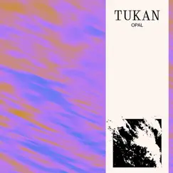 Opal - Single by TUKAN album reviews, ratings, credits