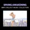 Spring Awakening - Chillout Sound Festival lyrics