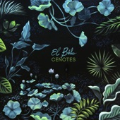 Cenotes (Deluxe Edition) [Deluxe Edition] artwork