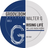 Rising Life (Luis Radio Remix) artwork