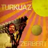Zerbert (Deluxe Edition) album lyrics, reviews, download