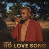 No Love Song artwork