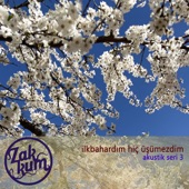 İlkbahardım Hiç Üşümezdim (Akustik Seri 3) artwork