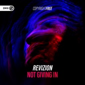 Not Giving In (Extended Mix) artwork
