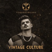 Tomorrowland 2022: Vintage Culture at Crystal Garden, Weekend 1 (DJ Mix) artwork