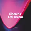 Sleeping Lofi Dream album lyrics, reviews, download