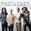 Family (Blackbird) - Single album lyrics, reviews, download