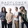 Family (Blackbird) - Single