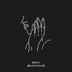 Shelter - Single by Machineheart album reviews, ratings, credits