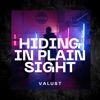 Hiding in Plain Sight - Single