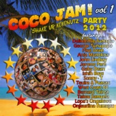 Coco Jam!, Vol. 1 (Shake Ur Kokonutz Party 2012) artwork
