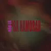 Não Ta Pra Namorar (feat. MC Larisson) - Single album lyrics, reviews, download