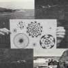 Untitled - Single