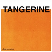 Tangerine (Rain) artwork