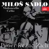 Works for Cello (Pauer, Řezáč, Zich) album lyrics, reviews, download