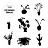 Uncommon Species - Single