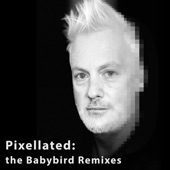 Dead Bird Sings - Pixellay Remix artwork