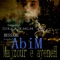 Bessame Majzoure E Ayeneh - Abim lyrics