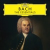 Bach: The Essentials, 2017