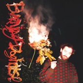 Burning Doghouse - Single