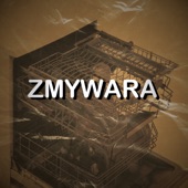 Zmywara artwork