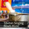 Stream & download Tibetan Singing Bowls