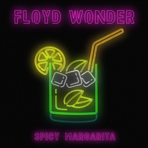 FLOYD WONDER - Spicy Margarita - 排舞 音乐