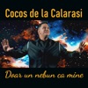 Doar un nebun ca mine - Single